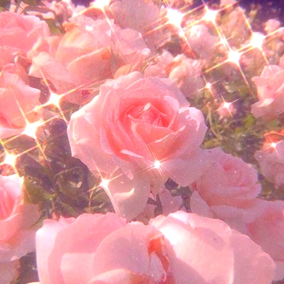 Meet your Posher, A - Picture 1 of 1